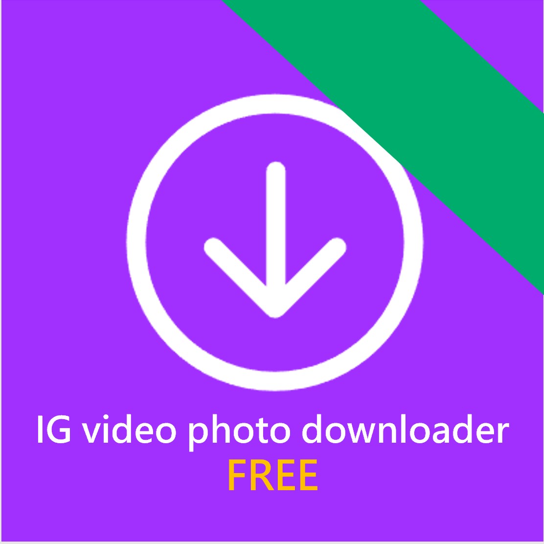 Instagram reels story video download – InsSaver
