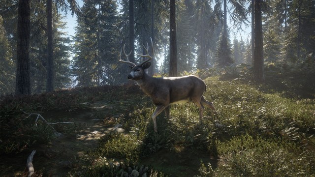 theHunter: Call of the Wild - Hunting Starter Bundle screenshot 1