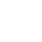 Traffic Cameras
