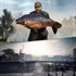 Euro Fishing: Urban Edition