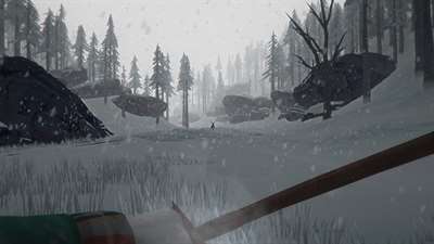 The Long Dark screenshot 1