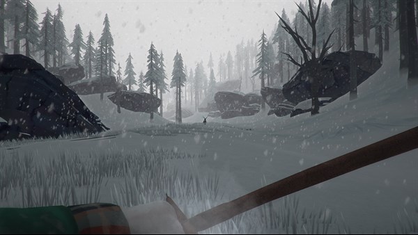The Long Dark screenshot