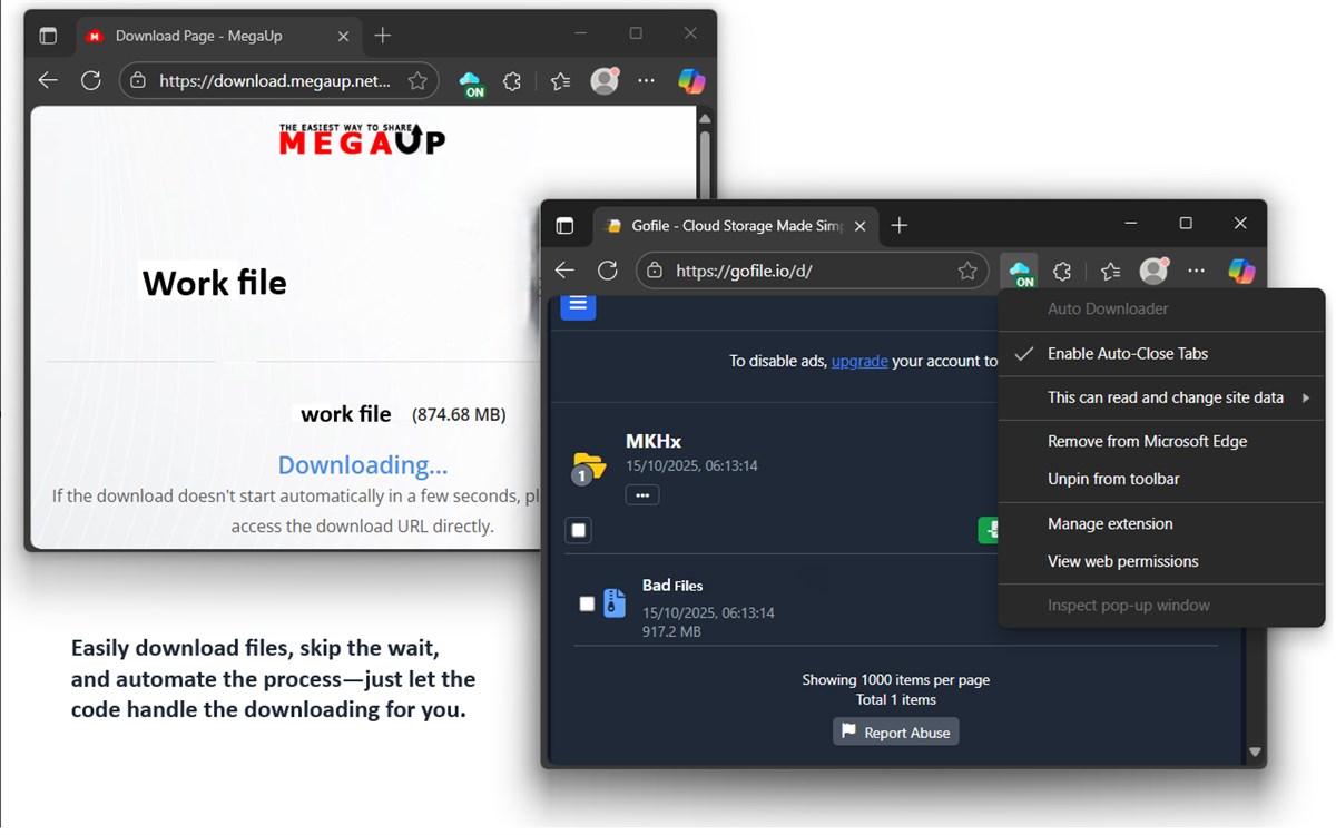 Auto Downloader