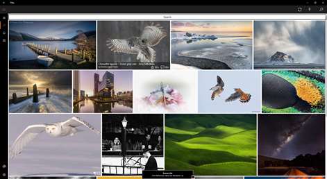 Fliky - True Flickr Client Screenshots 2