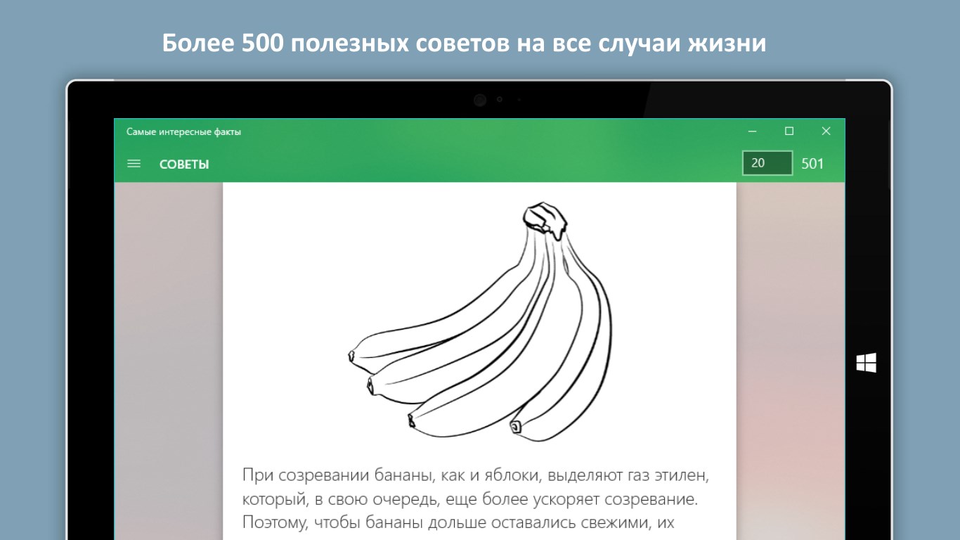 Самые интересные факты — бесплатно скачайте и установите в Windows |  Microsoft Store