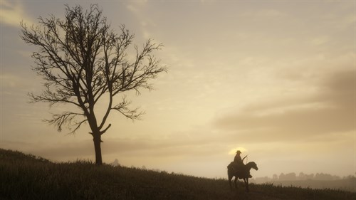 Red Dead Redemption 2: Story Mode