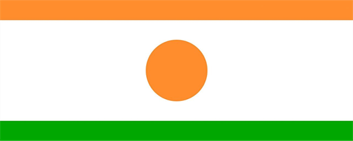 Niger Flag Wallpaper New Tab marquee promo image