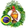 Rooster Shooter do Brasil