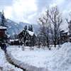 MANALI