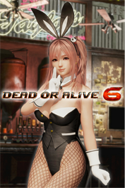 【복각】DOA6 바니걸 코스튬 호노카