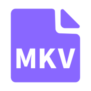 MKVExtractor