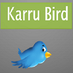 karru bird