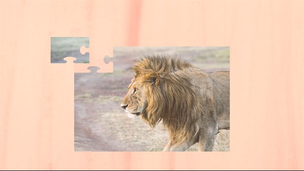 Wild Animal Jigsaw Puzzles - Classic Animal Puzzles — 1