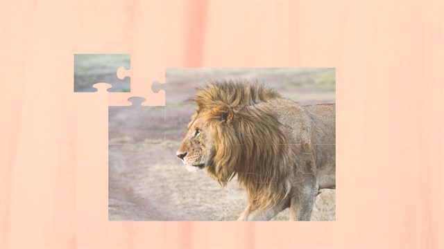 Wild Animal Jigsaw Puzzles - Classic Animal Puzzles screenshot 1