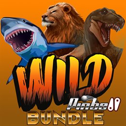 Aperçu Wild Pinball Bundle