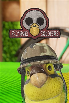 Cover poster for Flying Soldiers