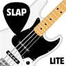 Slap Bass Lessons Beginners LITE