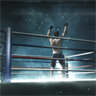 International Boxing Desktop