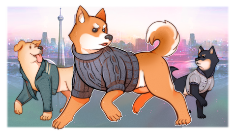 A Summer with the Shiba Inu