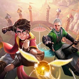 Aperçu Harry Potter: Champions de Quidditch