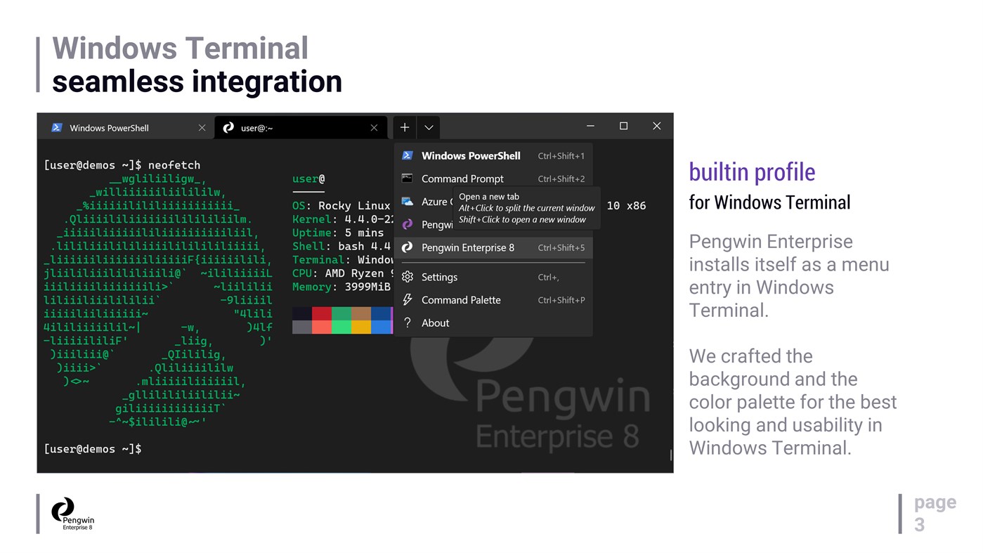 #3. Pengwin Enterprise 8 (Windows) От: Whitewater Foundry