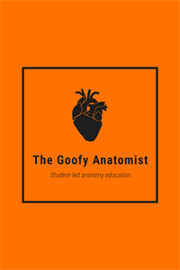 The Goofy Anatomist
