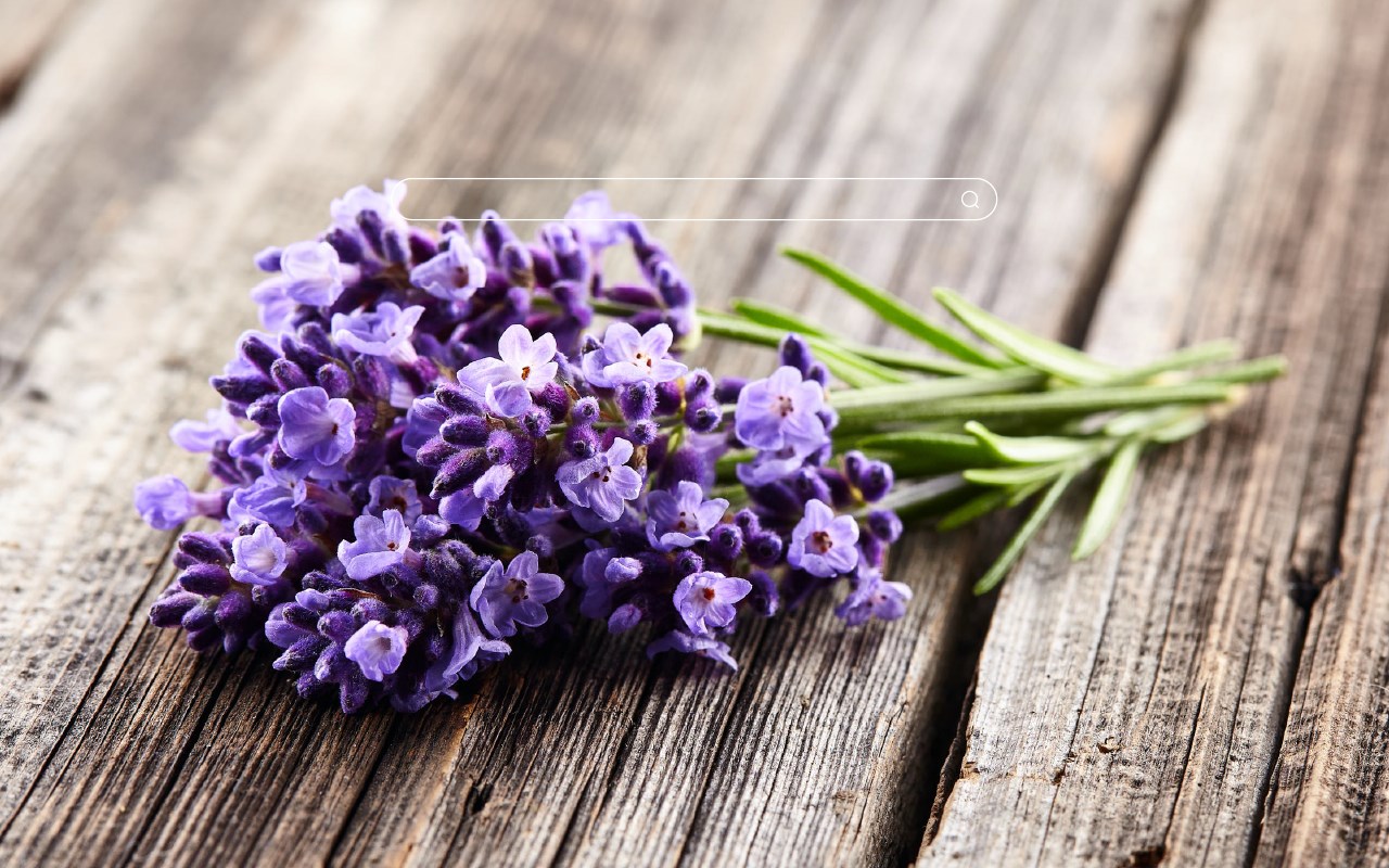 Lavender Flower HD Wallpapers New Tab Theme - Microsoft Edge Addons