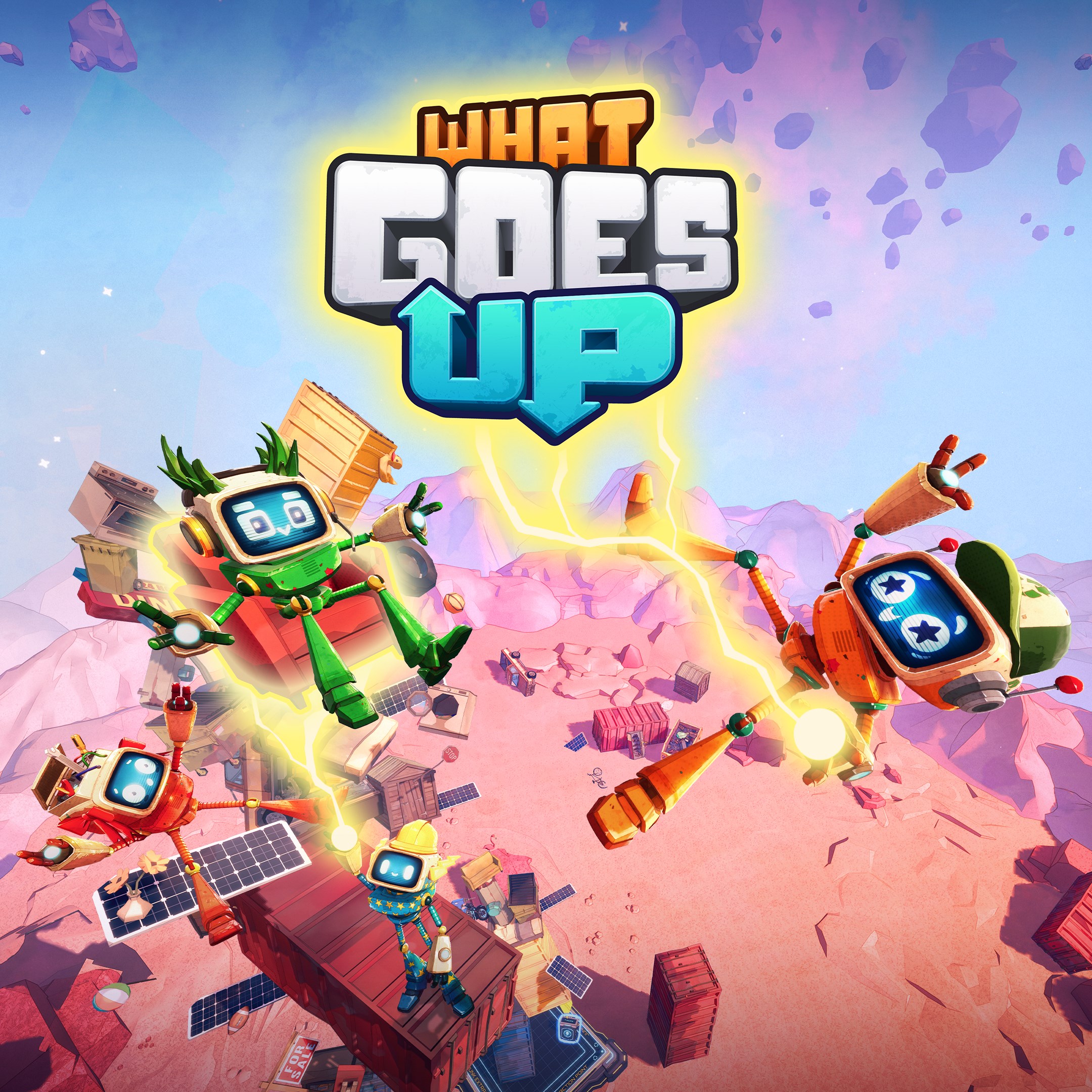What Goes Up