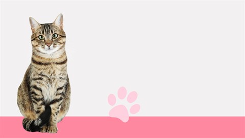 I Love Finding Cats Collector's Edition