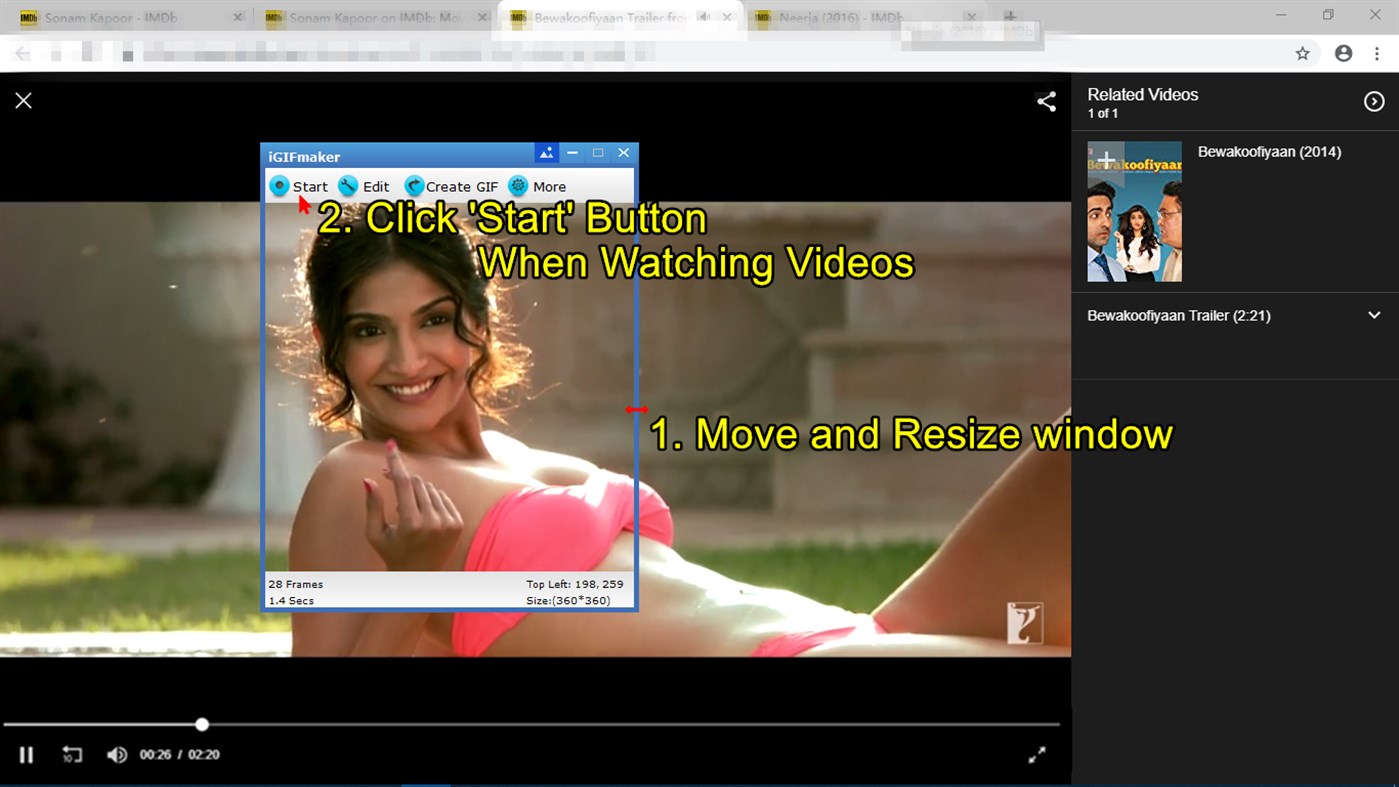 #1. iGIFmaker (Windows) 由: iGIFmaker