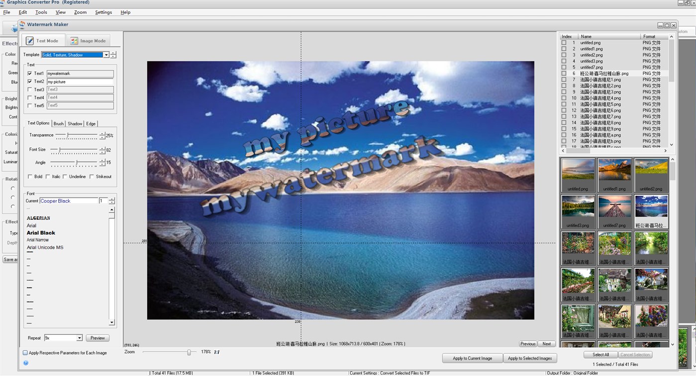 #3. Editing Photos & Pictures - Lite Version of Graphics Converter Pro (Windows) 게시자: Newera Software Technology Inc.