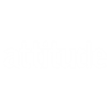 Attitude