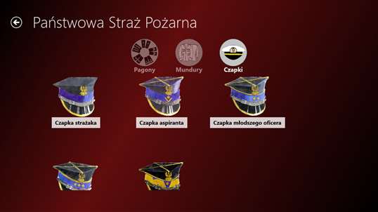Polskie służby mundurowe screenshot 4