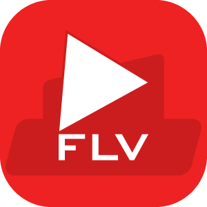 FLV to MP4 - FLV to MP3