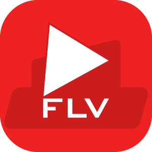 FLV to MP4 FLV to MP3 Download and install on Windows Microsoft Store