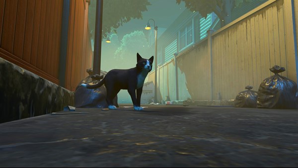 Copycat Demo — 1