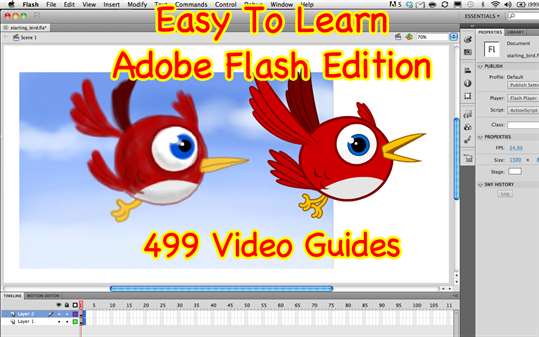 Master Adobe Flash screenshot 1