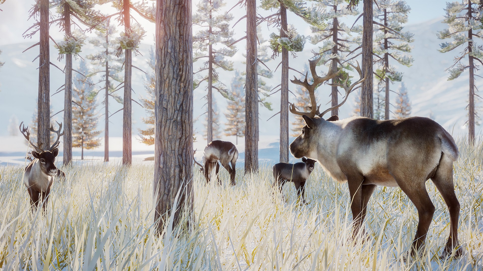 Planet Zoo: Arctic & Conservation Bundle