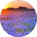 Texas Wallpaper New Tab icon