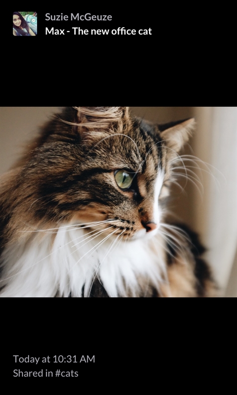 Slack (Beta) Screenshot