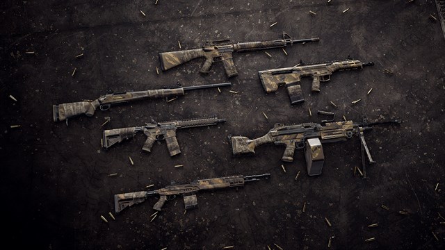 Insurgency: Sandstorm - Endurance Weapon Skin Set screenshot 2