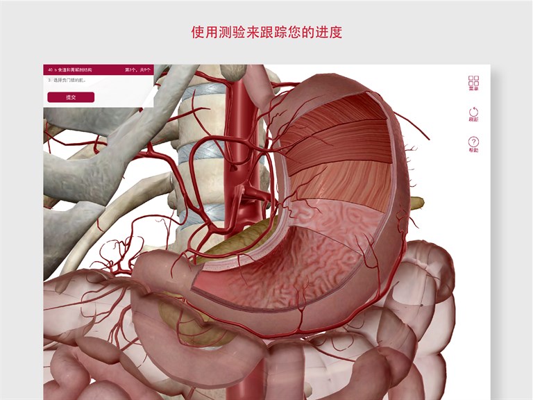 解剖和生理学: 人体系统的介绍 - Microsoft Store 中的官方应用