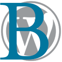 Best WordPress Tools icon