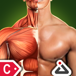 Sports Anatomy 3D Pro - Continuum Pack