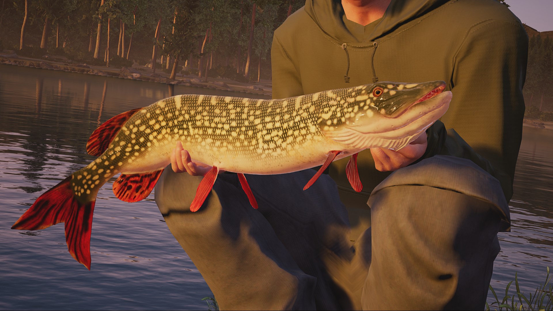 Fishing Sim World: Pro Tour + Quad Lake Pass | Xbox | Chiave | Privato