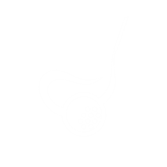 Golf Swing Video Review