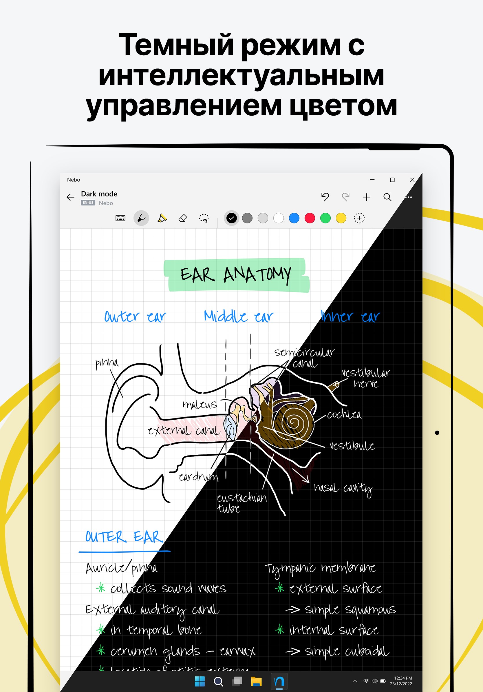 Nebo — Приложения Майкрософт