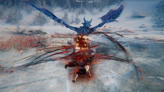 Throne and Liberty AGS screenshot 4