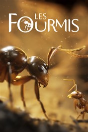 Les Fourmis