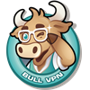 BullVPN VPN : Fast, Secure & Anonymous